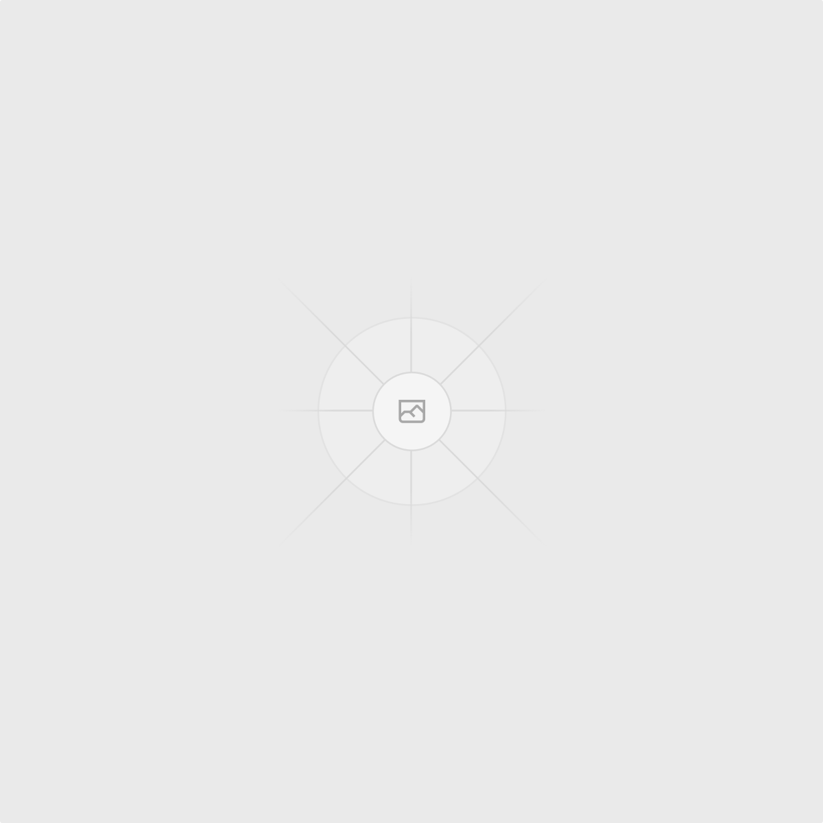 Premium Hosting icon